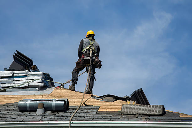 Professional Roof Replacement technician working in Quinton, AL